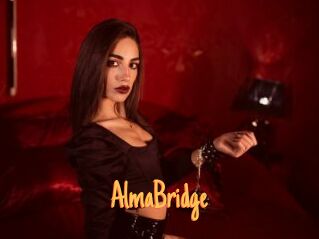 AlmaBridge