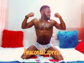 AnacondaExpress