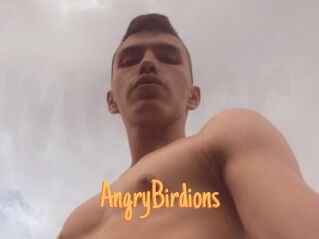 AngryBirdions