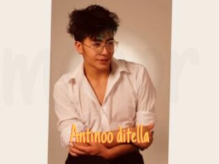 Antinoo_ditella