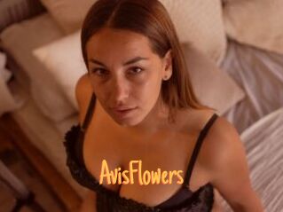 AvisFlowers