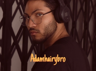 Adamhairybro