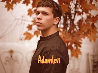 Adamlevi