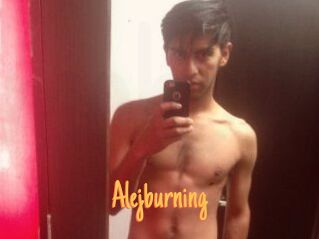 Alejburning