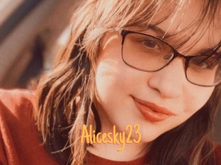 Alicesky23