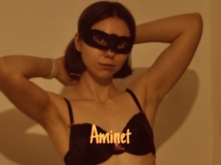 Aminet