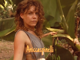 Aniccaspinelli