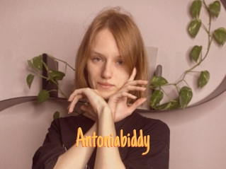 Antoniabiddy