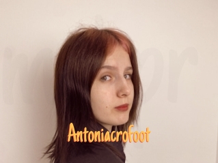 Antoniacrofoot