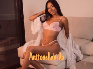 Anttonellabella