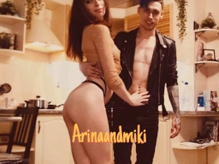 Arinaandmiki