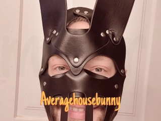 Averagehousebunny