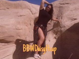 BBWDaisyHcup