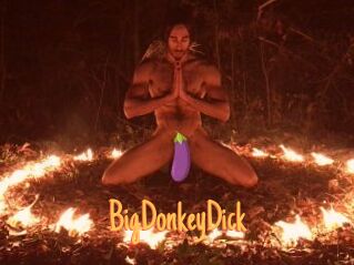 BigDonkeyDick