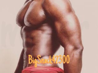 BigSnack42300