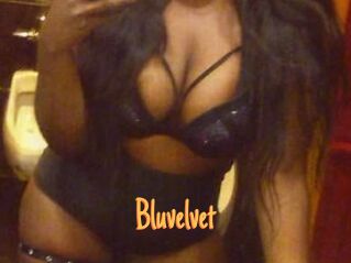 Bluvelvet