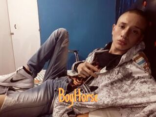 BoyHorse