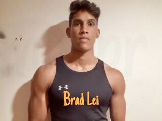 Brad_Lei