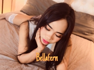 Bellafern