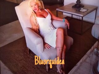 Bluorquidea