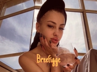 Breefigge
