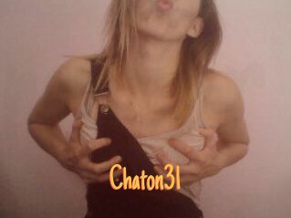 Chaton31