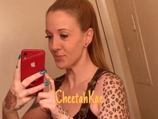 CheetahKae