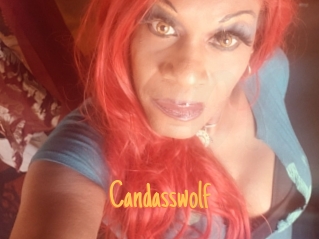 Candasswolf