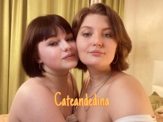 Cateandedina