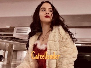 Cateellender