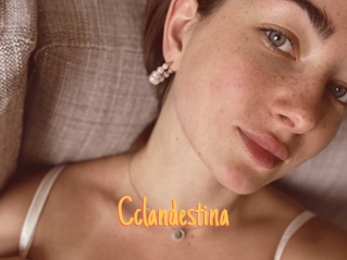 Cclandestina