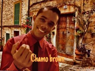 Chamo_brown