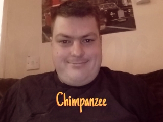 Chimpanzee