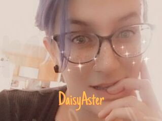 DaisyAster