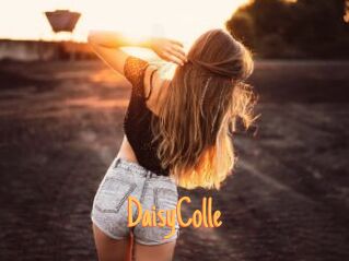 DaisyColle