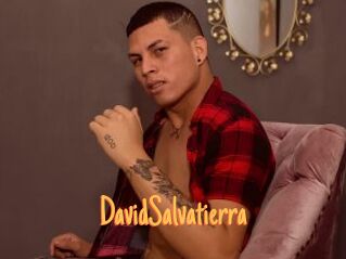 DavidSalvatierra