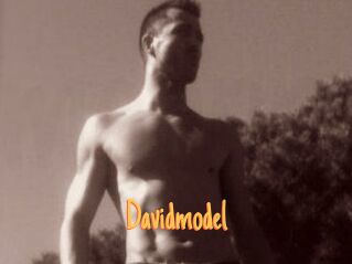 Davidmodel