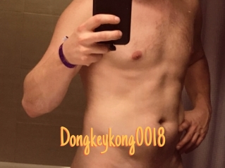 Dongkeykong0018