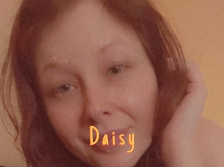 D_a_i_s_y