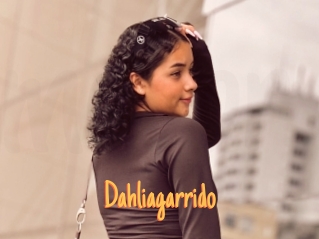 Dahliagarrido