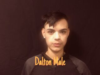 Dalton_Male