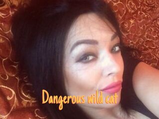 Dangerous_wild_cat