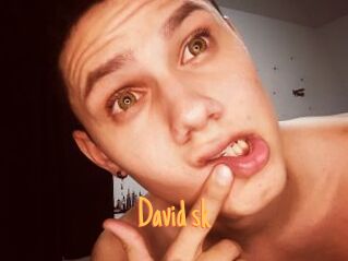 David_sk