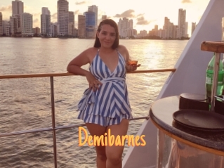 Demibarnes