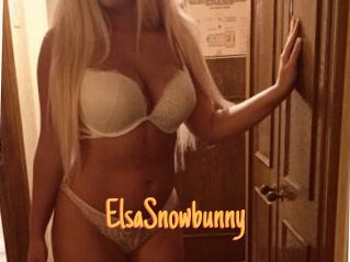 ElsaSnowbunny