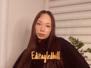 Editagledhill