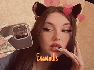 Evawallis