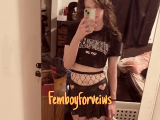 Femboyforveiws