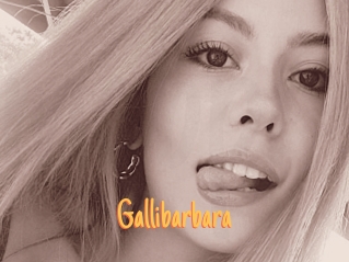 Gallibarbara