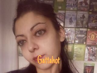 Gattahot